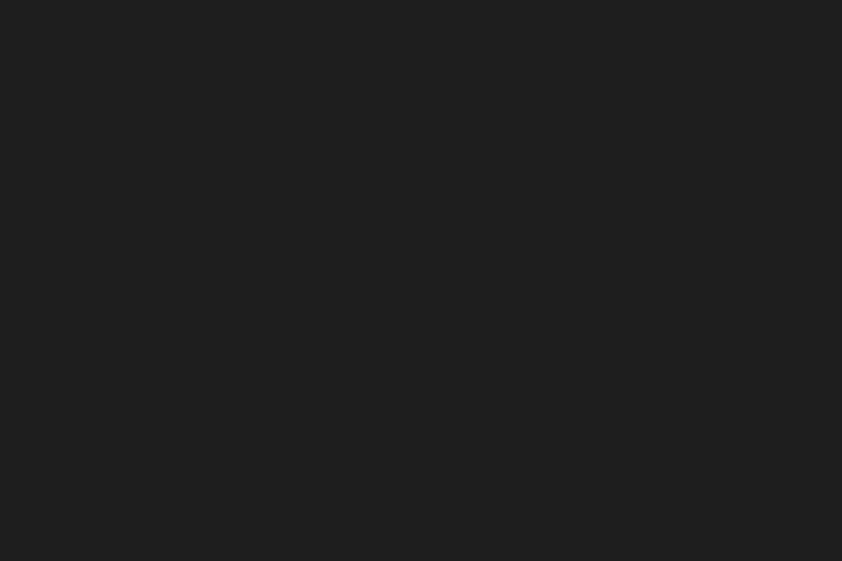 Zkušební jízdy na objednání